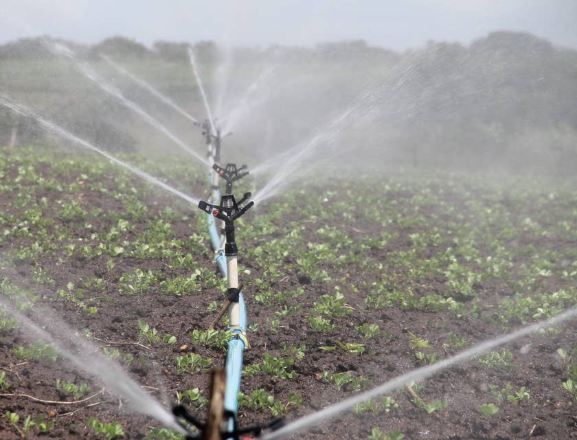 irrigation system in a farm