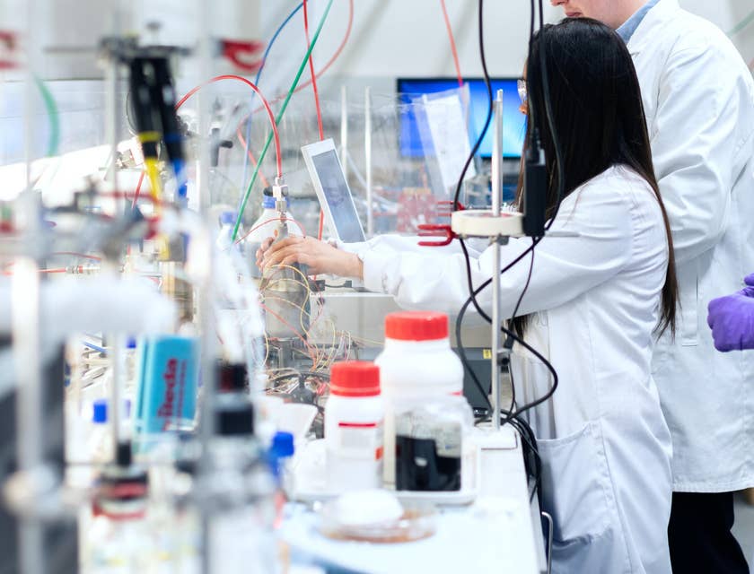 Laboratory Manager Job Description