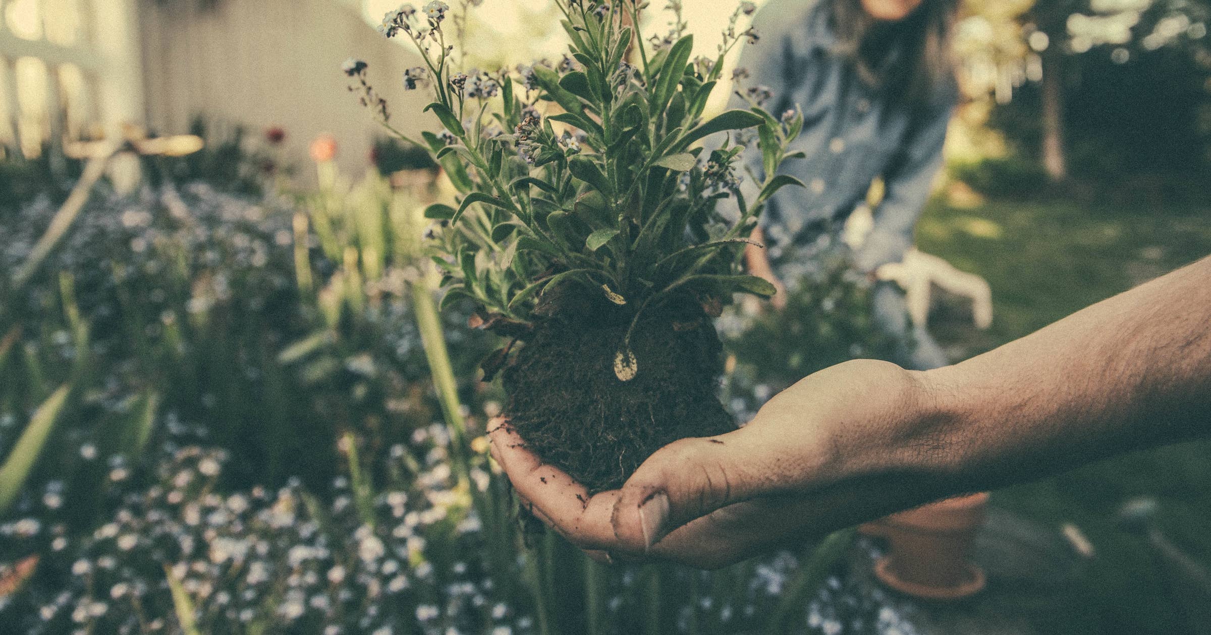 Landscaper Interview Questions