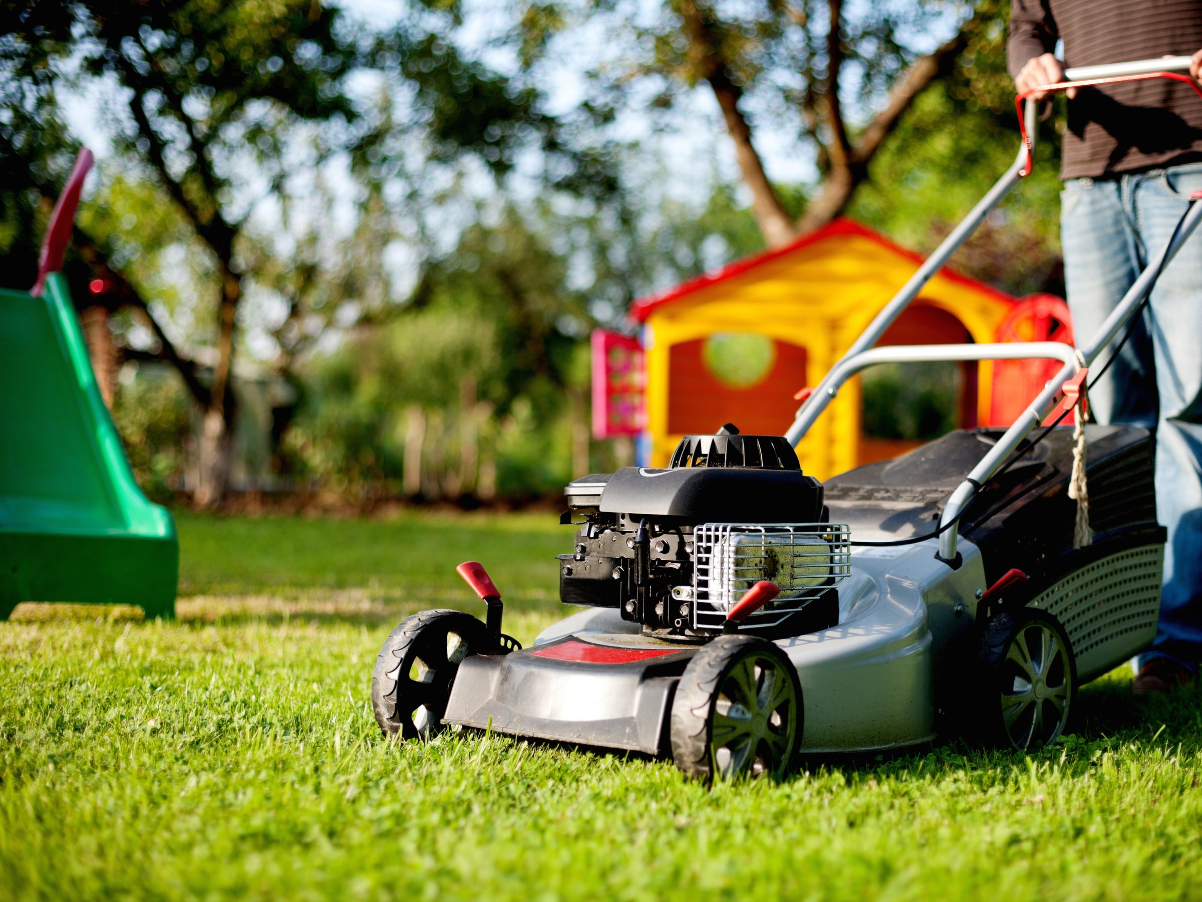 Grass Seeding