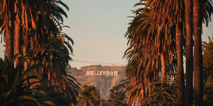 Palm tree lined street with Hollywood sign in the background.
