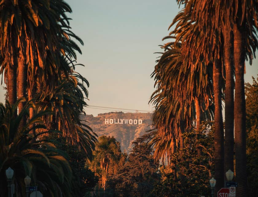 Palm tree lined street with Hollywood sign in the background.
