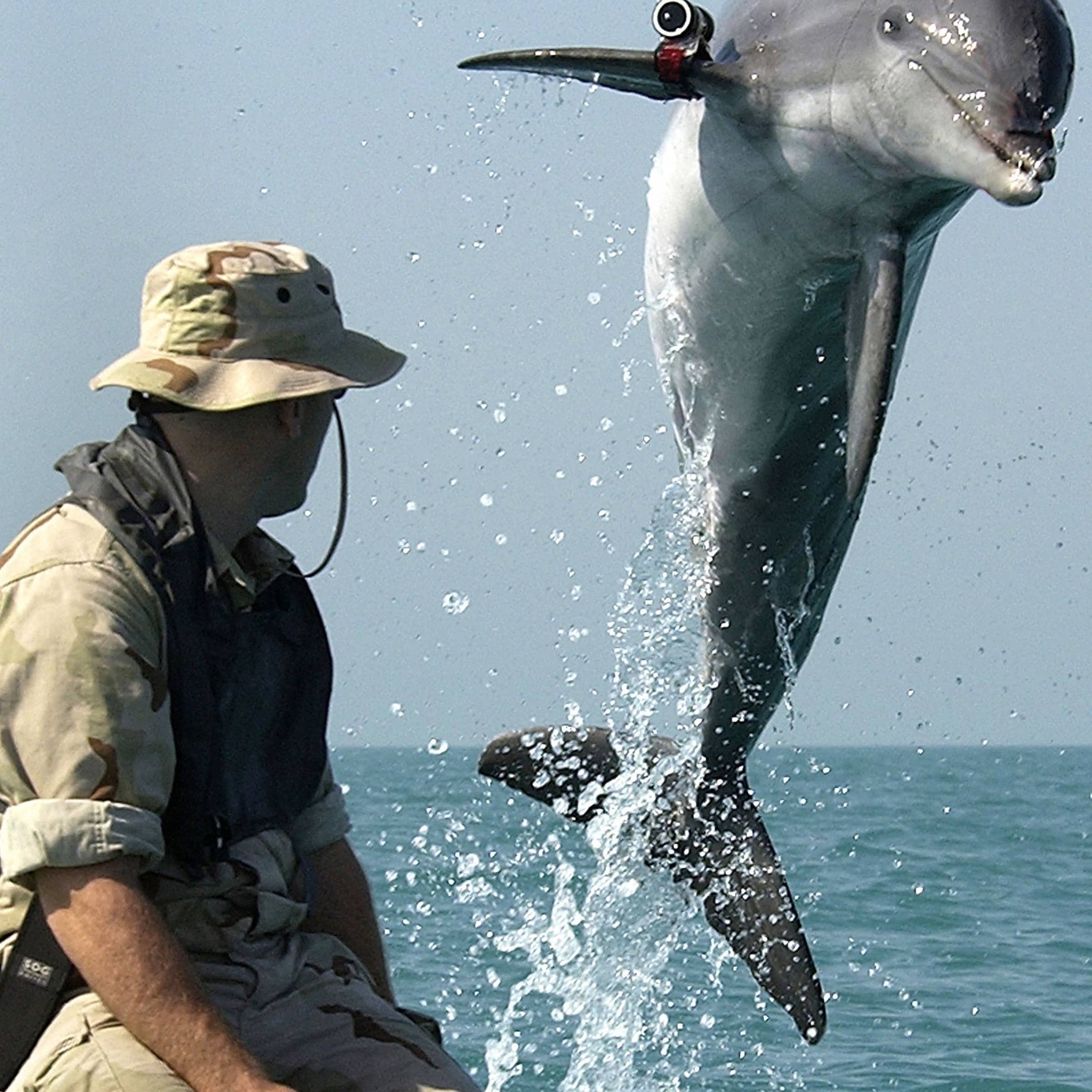 Marine Biologist Job Description