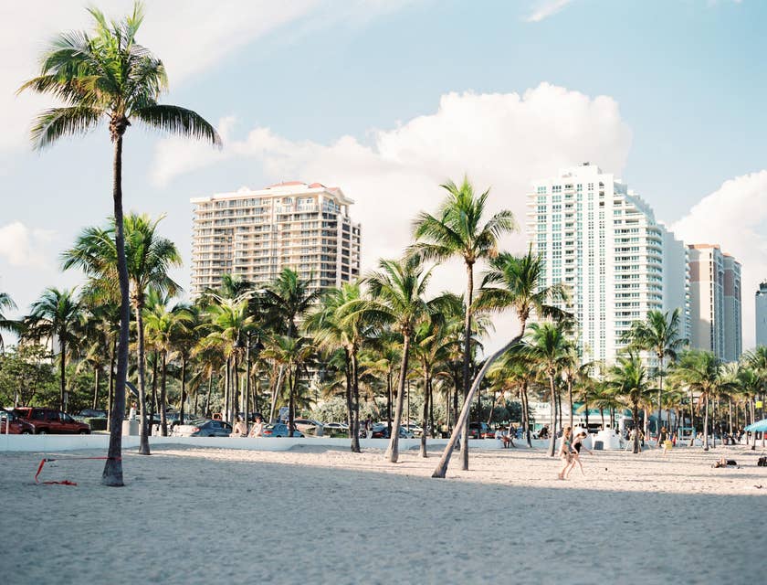 View of Miami Beach with palm trees and skyscrapers in the background.