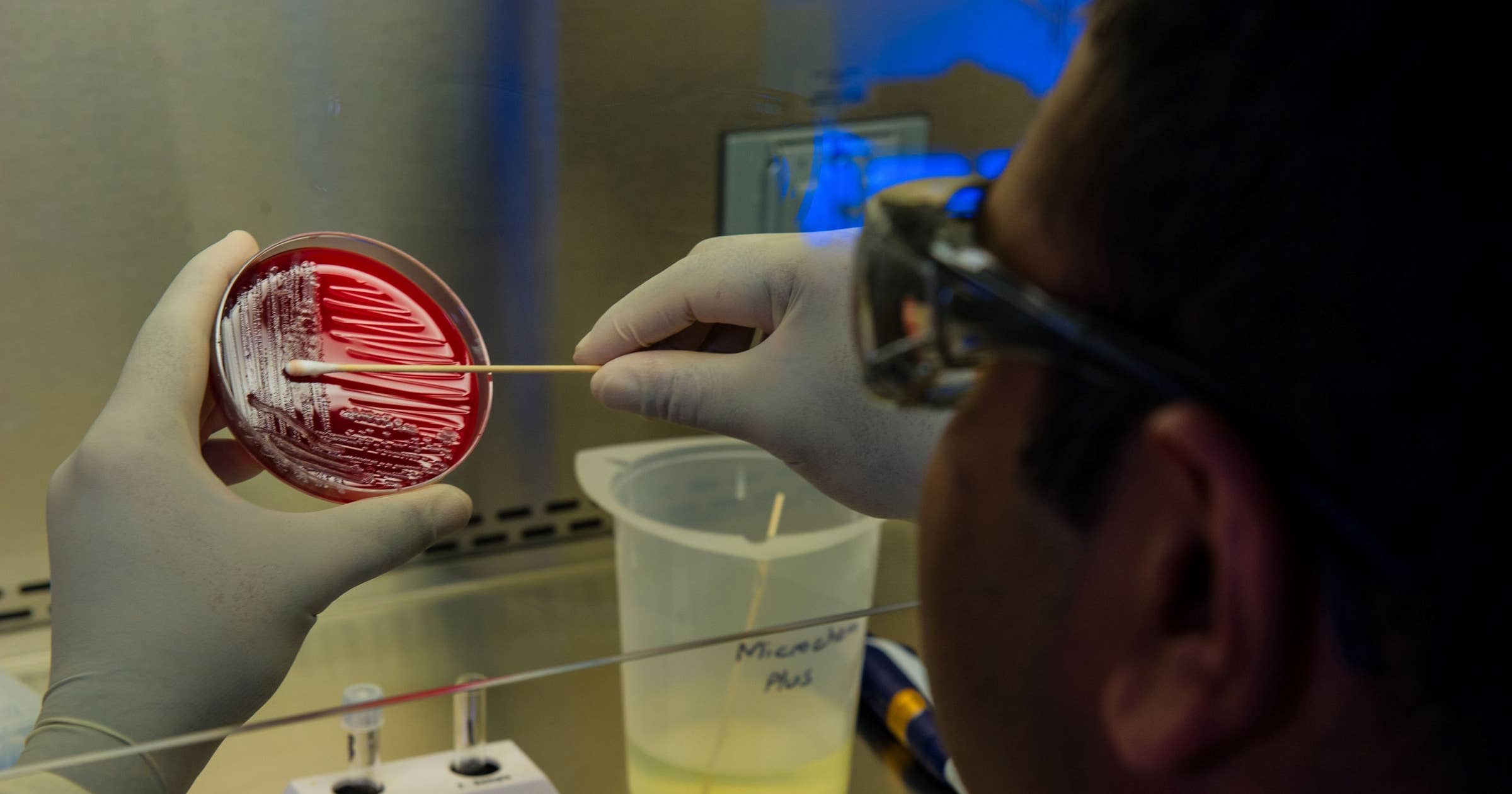 Microbiologist Job Description