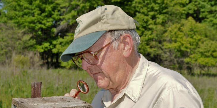 Park ranger holding a magnifying glass and looking inside the bird box as part of his patrol duty in a preserved area.
