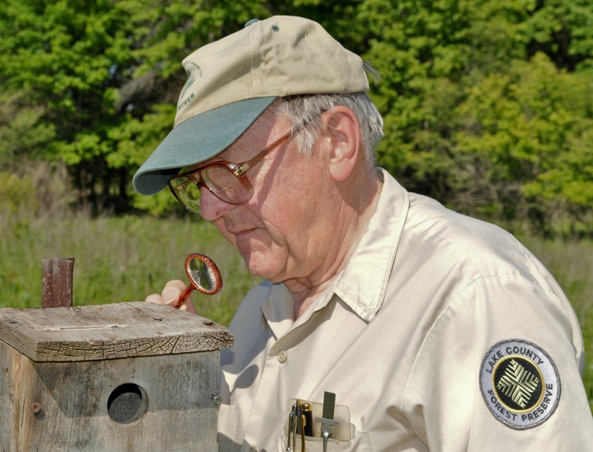 Park ranger holding a magnifying glass and looking inside the bird box as part of his patrol duty in a preserved area.