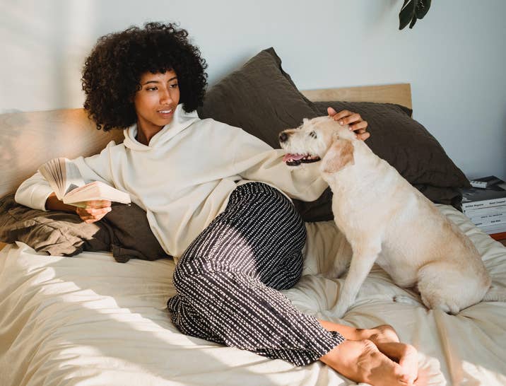 Pet Sitter Interview Questions