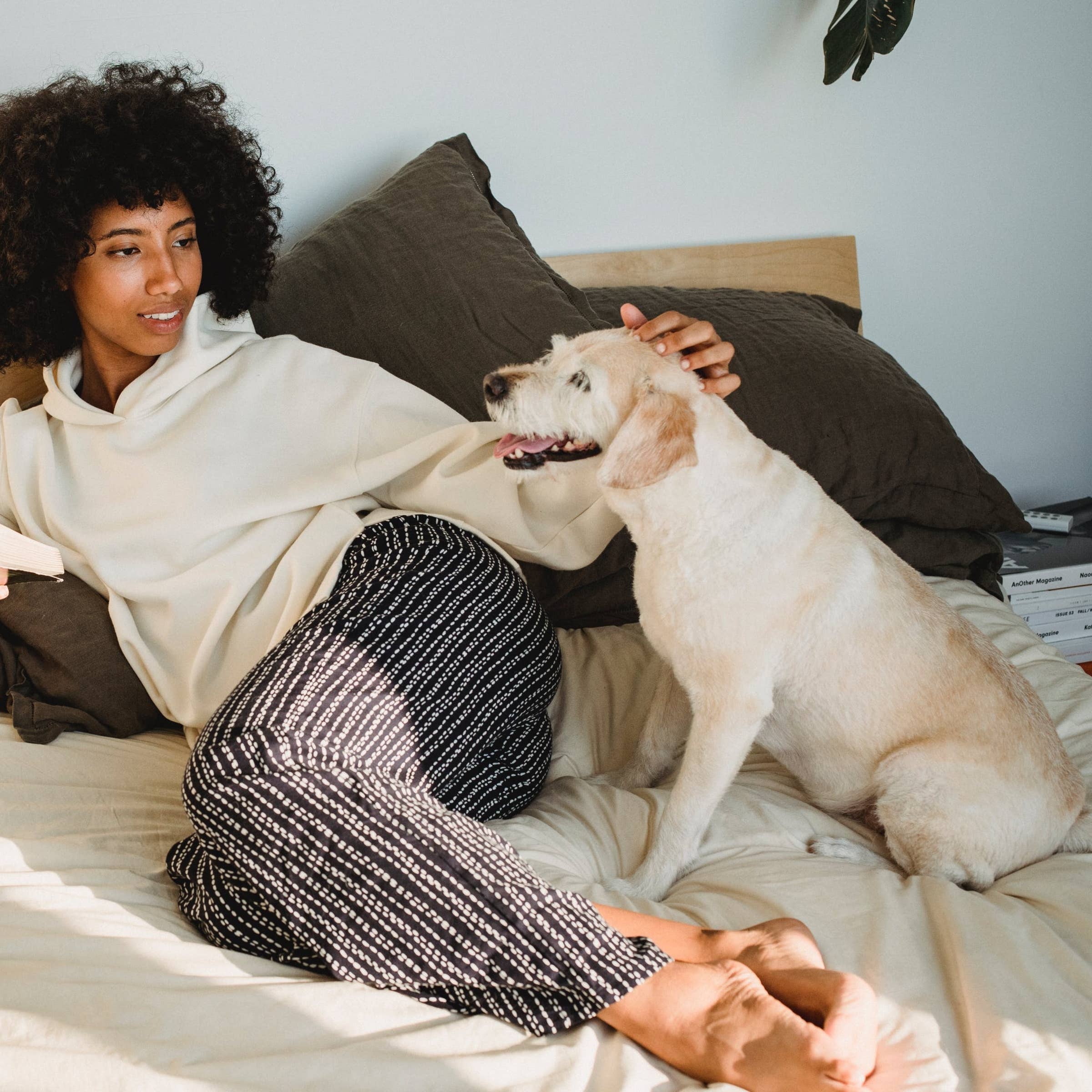 Pet Sitter Job Description