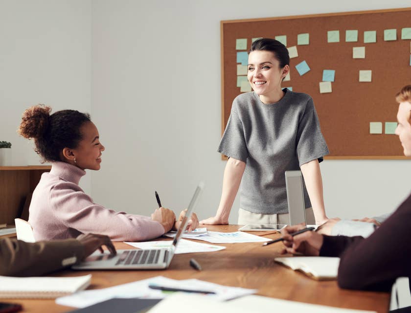 Program manager managing a team and ensures project goals are achieved.