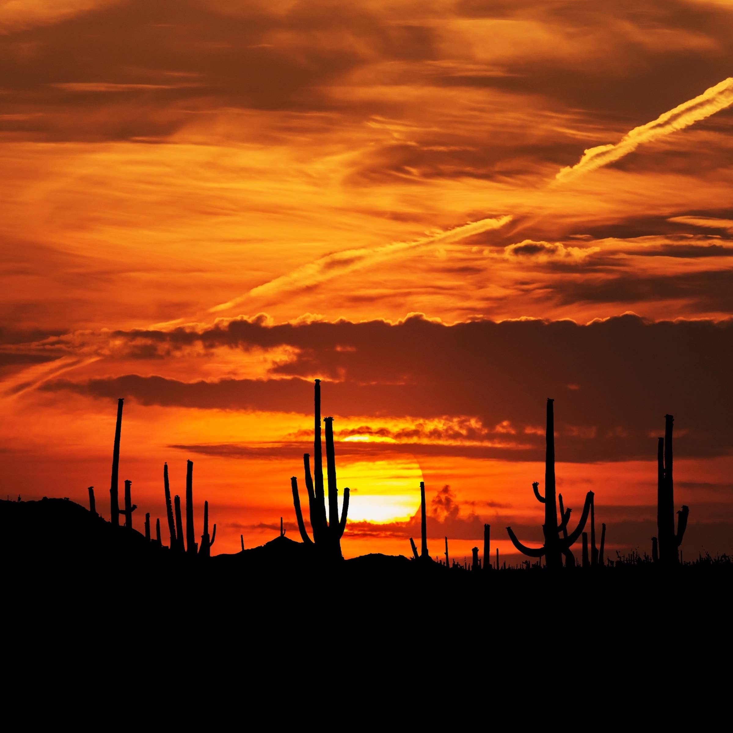 Las mejores bolsas de trabajo en Sonora