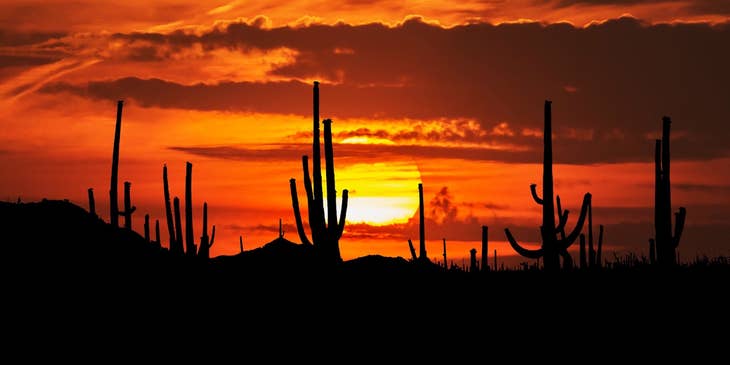 Vista del atardecer en el desierto de San Luis Río Colorado, Sonora.