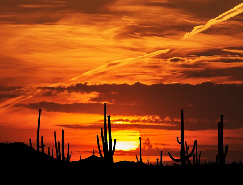 Vista del atardecer en el desierto de San Luis Río Colorado, Sonora.