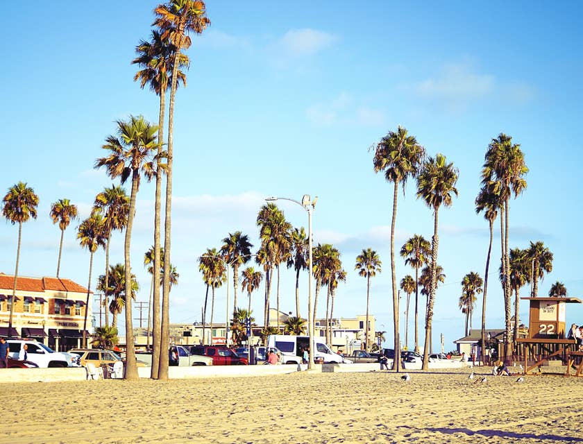 A beach with palm trees against a blue sky in Santa Ana, California.