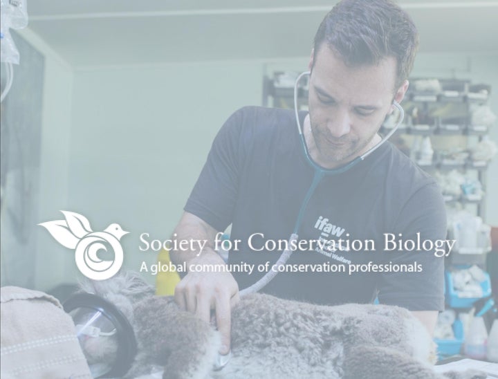 SCB Careers Review With Pricing, Alternatives, and FAQs