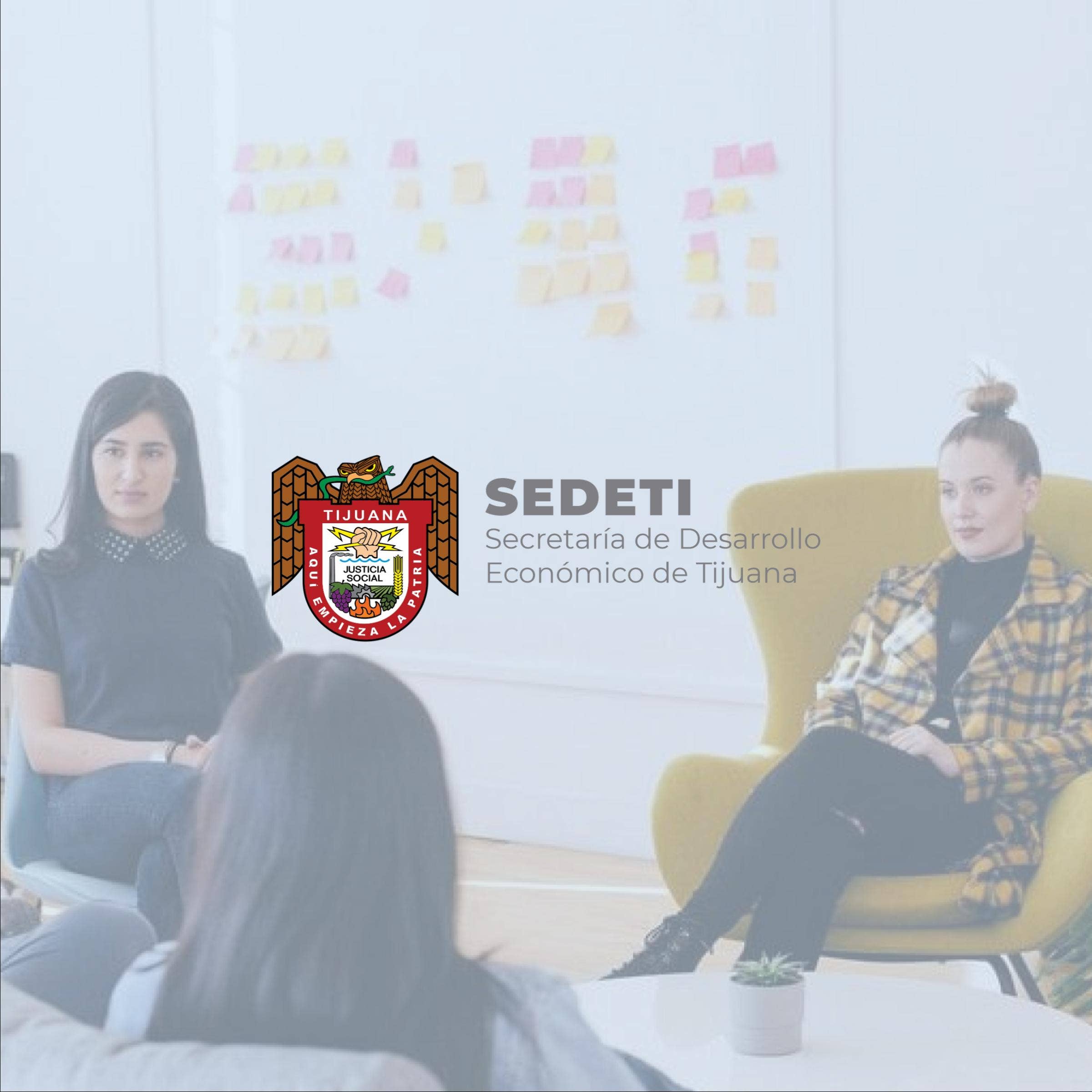 SEDETI - Reseña con precios, comparativos y preguntas frecuentes