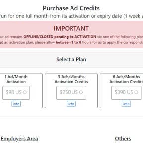 Purchase ad credits.