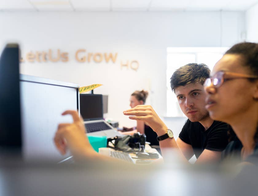 Technical business analyst helps a colleague analyze a new software program for a new business client