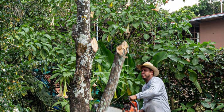 Utility Worker trimming some trees