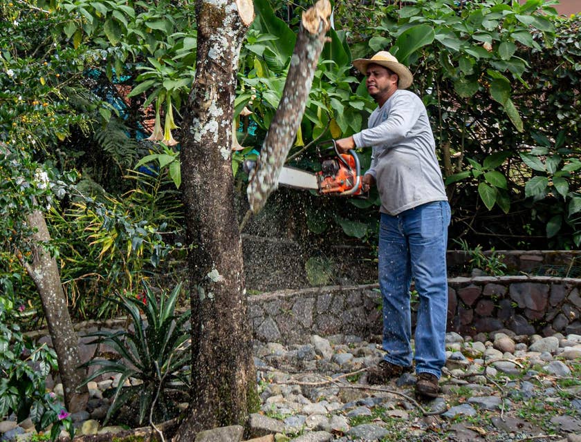 Utility Worker trimming some trees