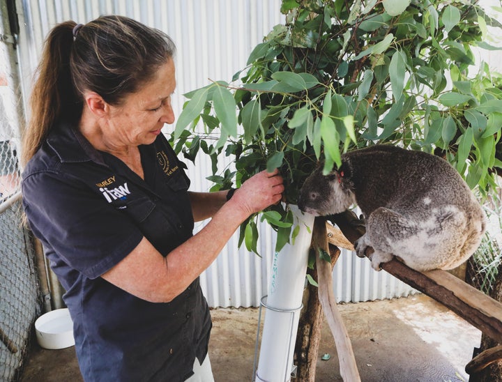 Veterinary Assistant Interview Questions