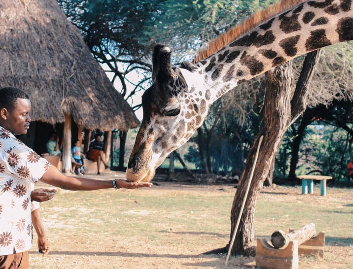 Zookeeper Job Description