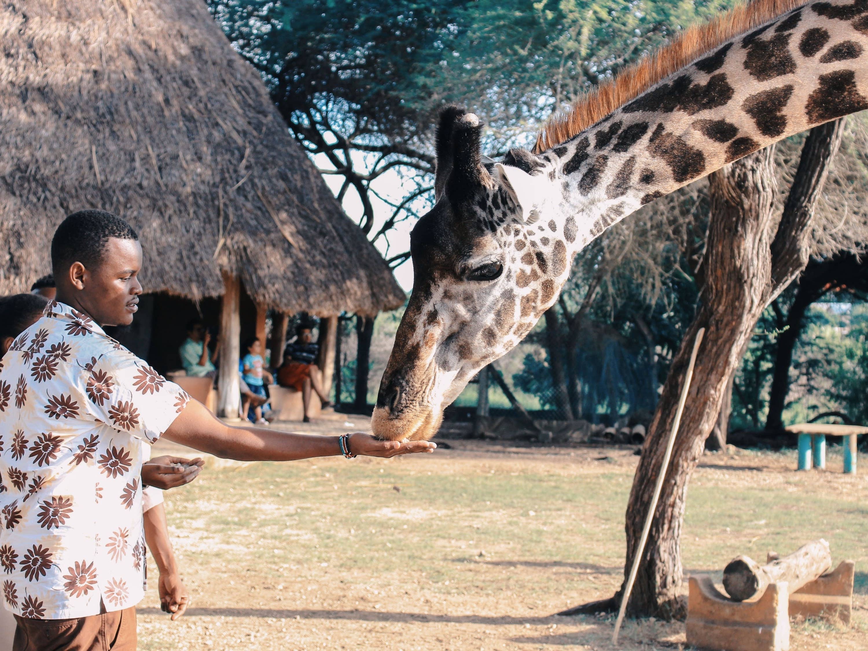 Zookeeper Job Description