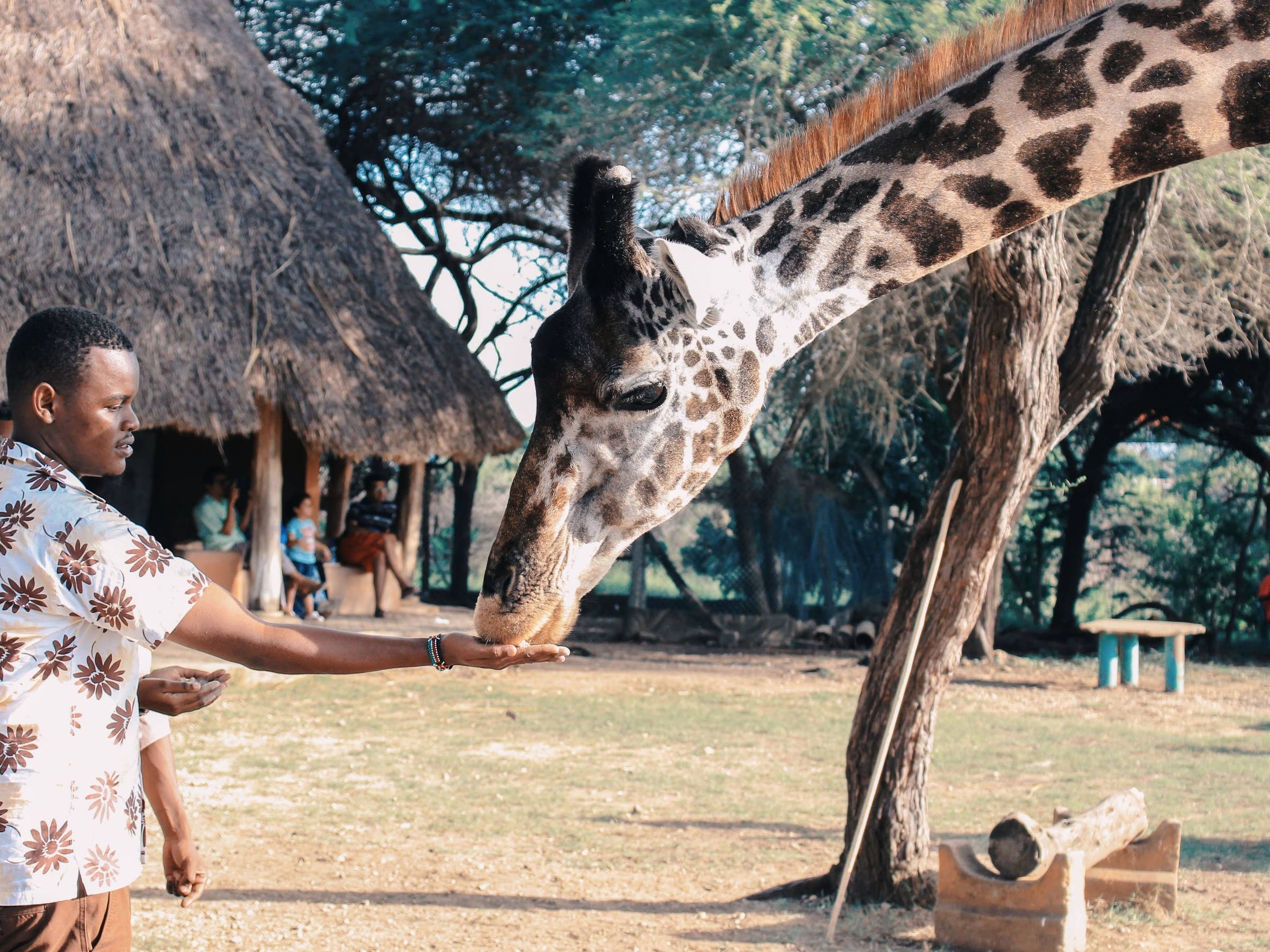 Zookeeper Job Description Salary, Skills, More, 42 OFF